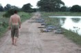 /album/en-pantanal-mt/a1048978-445293905565769-1959833829-o-jacares-in-road-jpg1/